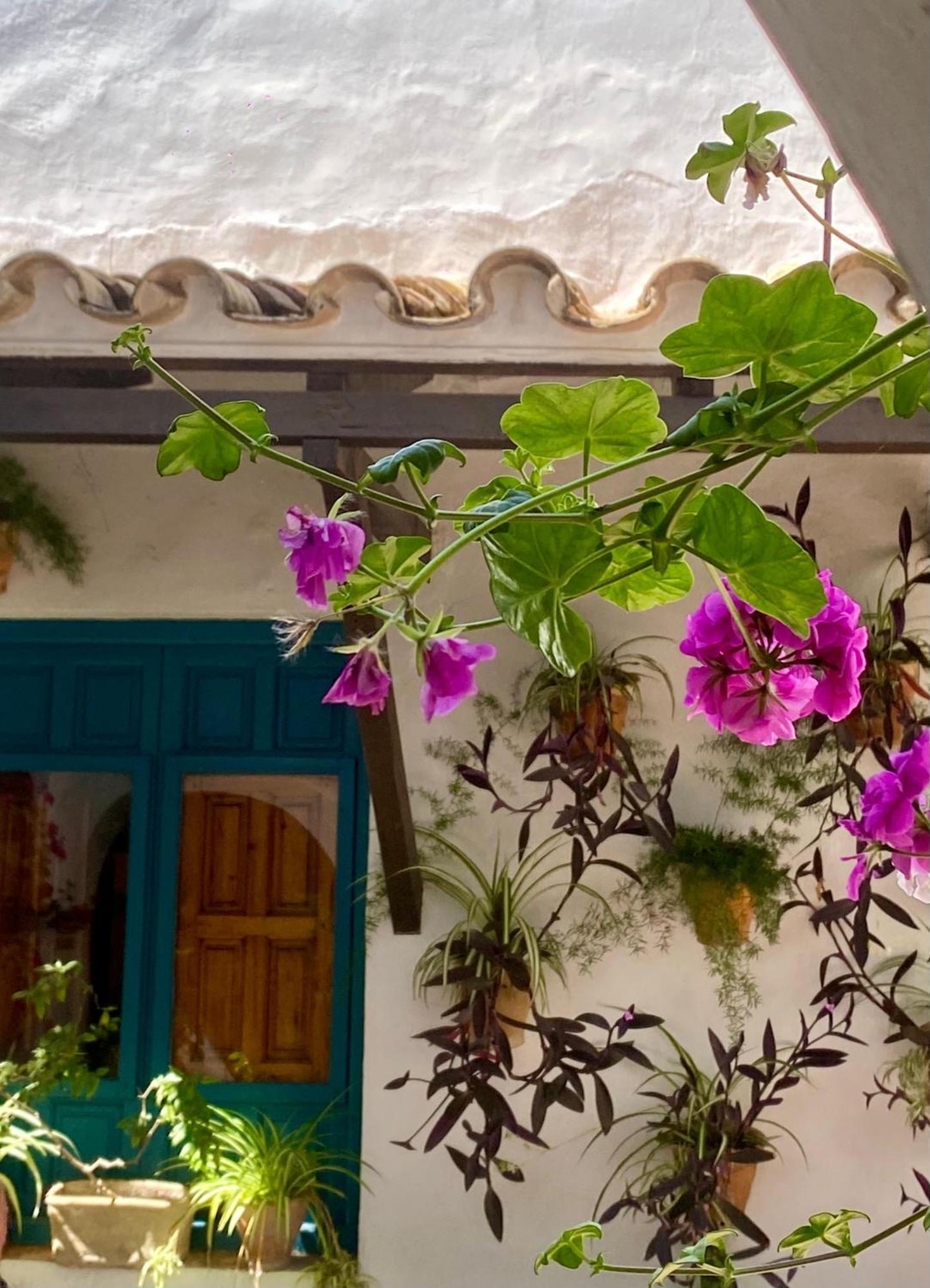 La Buganvilla De Santiago Cordoba Ngoại thất bức ảnh