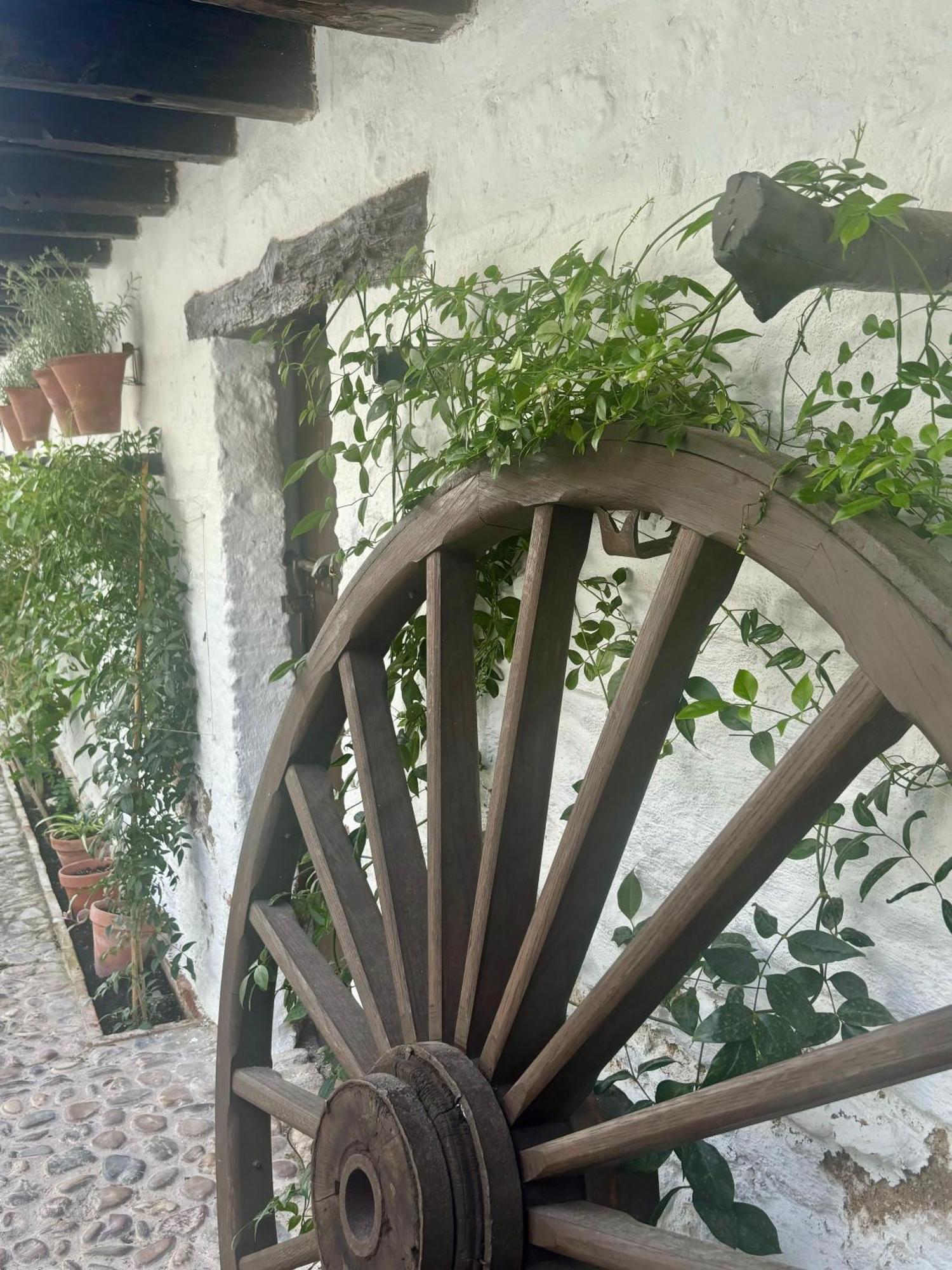 La Buganvilla De Santiago Cordoba Ngoại thất bức ảnh
