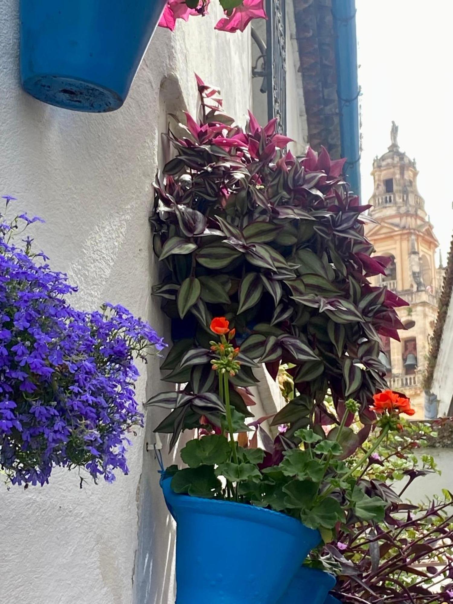 La Buganvilla De Santiago Cordoba Ngoại thất bức ảnh