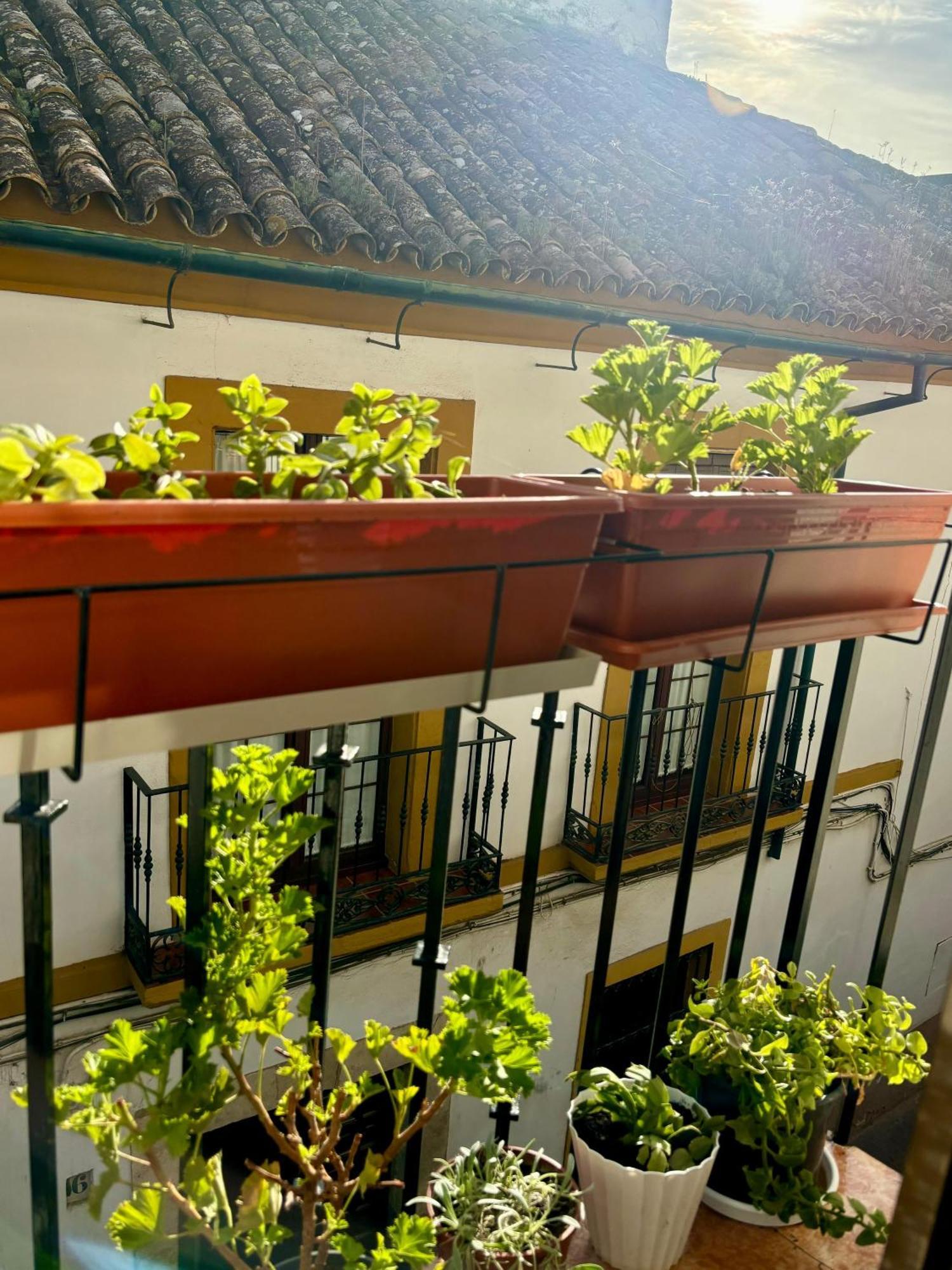 La Buganvilla De Santiago Cordoba Ngoại thất bức ảnh